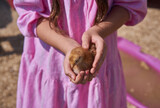 Fototapeta  - child holding a chick