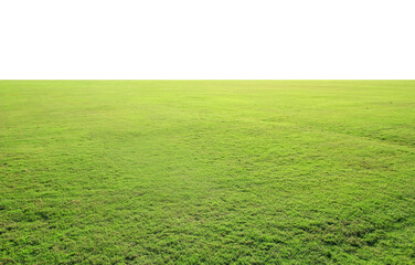 Wall Mural - green grass in the field on white