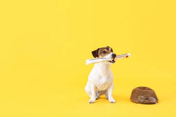 Poster - Cute dog with newspaper and hat on color background