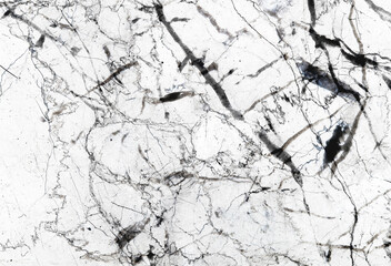 Wall Mural - Black patterned structure of white marble texture background for abstract and product design.