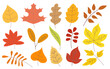 Various autumn leaves cartoon illustration set. Brown, green and yellow maple and oak fall leaves. Dry plants of September and October isolated on white background. Foliage, forest concept