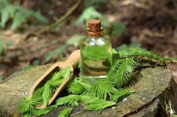 oil from young shoots of spruce