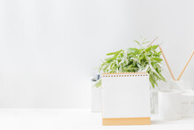 Mockup Desk Calendar And Branches With Green Leaves In A Vase On A Light Background