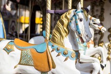 Horse On A French Carousel