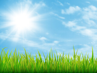green grass and blue sky with clouds. nature summer background. vector illustration