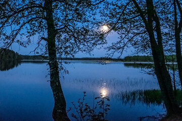 Wall Mural - Moonlit night on the lake. Silhouettes of trees, water from the lake, moon path