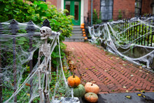 Skeleton And Spider Web On The Fence. Halloween Decorations Outside. Copy Space For Your Text