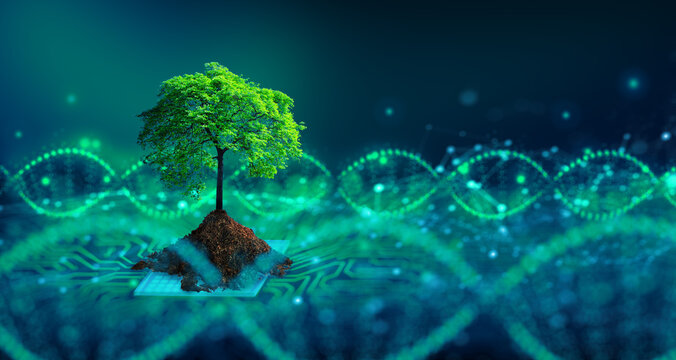 Wall Mural -  - Tree with soil growing on  the converging point of computer circuit board. Blue light and wireframe network background. Green Computing, Green Technology, Green IT, csr, and IT ethics Concept.