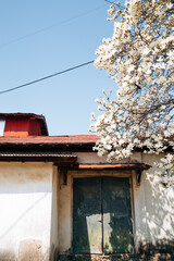 Wall Mural - Pangyo old town at spring in Seocheon, Korea