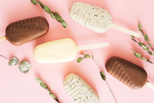 Flat Lay Of Difference Chocolate Popsicles And Dry Sprigs Of Eucalyptus On Pink Background