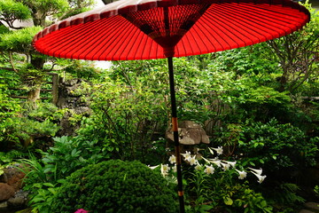 Traditional Japanese garden with red umbrella in Kamakura, Japan - 日本庭園 赤い番傘	
