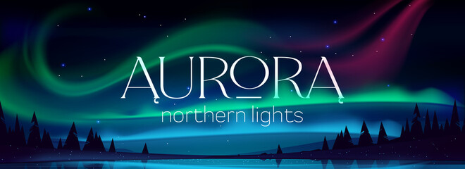 aurora borealis poster, northern lights in arctic night sky with stars. vector banner with cartoon w