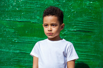 Wall Mural - Five year old little boy in summer park