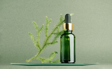 One Glass Dropper Bottle And Natural Branch Of Moss On Mirror, Green Background. Natural Organic Spa Cosmetic Concept. Front View