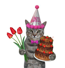 Wall Mural - A gray cat in a party hat holds a holiday chocolate truffle cake and a bouquet of red tulips. White background. Isolated.