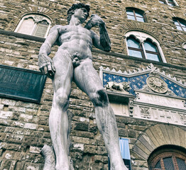 Wall Mural - Michelangelo's David Statue in Piazza Signoria, Florence