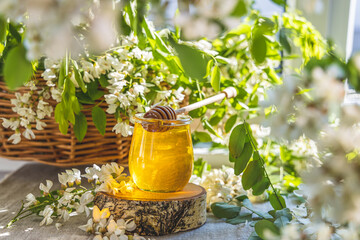 Sweet honey jar surrounded spring acacia blossoms