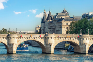 Poster - Pont Neuf Bridge in Paris City