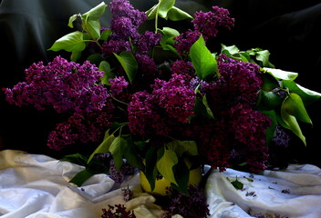 Still life with branches of a colorful lilac tree in a clay vase. syringa still life