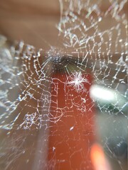 spider web with dew drops