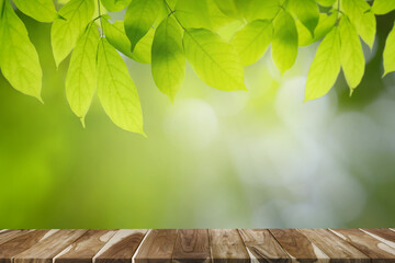 Empty wooden table with green leaves, bokeh and sun light with copy space for text ,Template mock up for display of product. green nature and ecology concept.