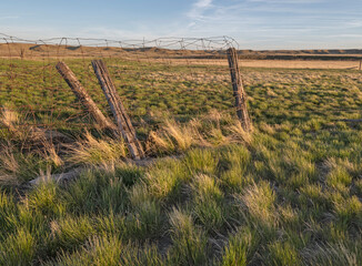 Wall Mural - Evening view of an old fence in Grasslands National Park, Saskatchewan, Canada