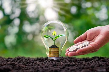 Trees growing on coins in energy saving lamps including hands giving coins and naturally blurred green background environmental concept and energy saving.