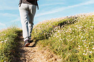 Wall Mural - Legs of unrecognizable person wearing sports shoes walking through a flower field on a sunny spring or summer day. healthy life style. senior citizens.