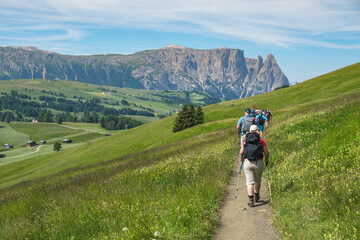 Wall Mural - hikers in an idyllic alp valley with flowering meadows and mountains