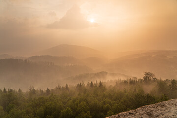 Sticker - Rising haze during a summer shower in the Waldprechtstal in the northern Black Forest