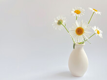 Flower Composition.  High Key Photography With White Daisies In A Clay Vase On A White Background.  Natural Light Template For Your Projects.