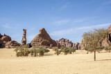 Fototapeta  - Landscape of the Sahara desert region, Chad, Africa