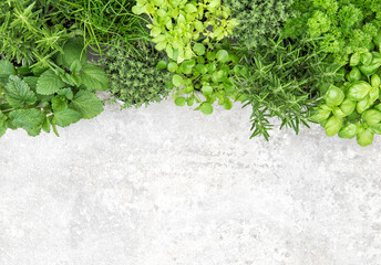 Poster - Fresh herbs Food background basil parsley rosemary thyme