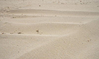 Wall Mural - Sand background texture, closeup view. Sandy beach, summer vacations