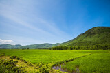 Fototapeta  - Hai Van Pass in Vietnam