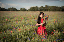 Asian Girl In Red Dress Standing In Field Of Poppies Holding Wild Flowers