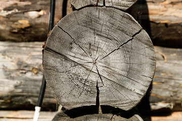 Poster - log in an old wooden house