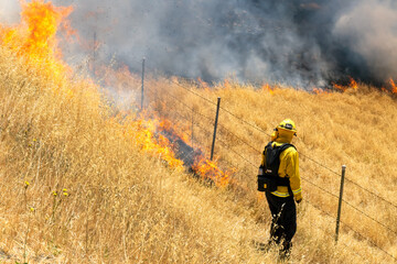 Fire burning in grass in California