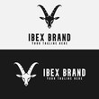 ibex logo vector design. for logo template