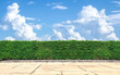 Empty Floor Concrete with green hedge Wall and blue sky background.