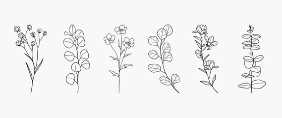 Minimal botanical hand drawing design for logo and wedding invitation. Floral line art.  Flower and leaves design collection for bouquets decoration, card and packaging background.