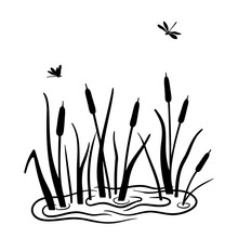 Black Silhouette Of Reeds In Swamp Or Pond With Flying Dragonflies. Vector Illustration Of Water Plants Is Isolated On White Background.