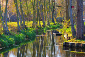 Wall Mural - Spreewald im Herbst - Spree Forest in fall