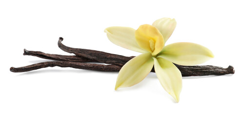 Wall Mural - Aromatic vanilla sticks and beautiful flower on white background