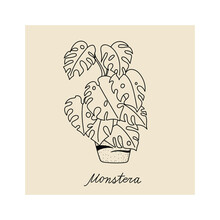 Concept Of Cozy Home And Comfort. Hand Drawn Illustration Of Plant Monstera For Posters, Cards, T-shirts. Vector Illustration