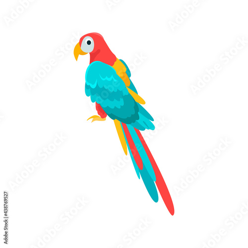 鳥 アドビストックのデザイン かべいろ Com おしゃれ壁紙リフォーム貼り替え インクジェット壁紙のかべいろ Com 鳥 アドビストックのデザイン かべいろ Com おしゃれ壁紙リフォーム貼り替え インクジェット壁紙のかべいろ Com