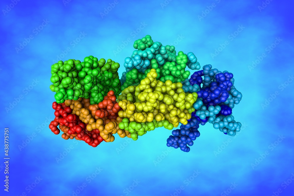 Complex structure of human monoclonal antibody with SARS-CoV-2 ...