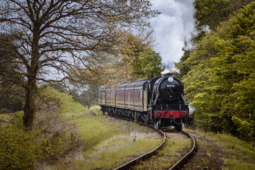 the poppy line classic steam train passing through forest trees