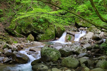 初夏の遠藤ヶ滝（福島県・大玉村）