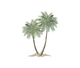 coconut tree illustrations